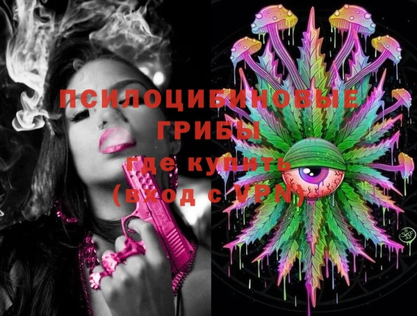 PSILOCYBIN Беломорск