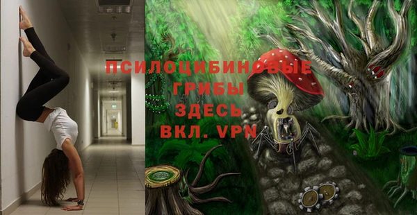 PSILOCYBIN Беломорск