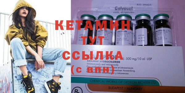 спиды Богородицк