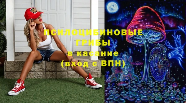 PSILOCYBIN Беломорск