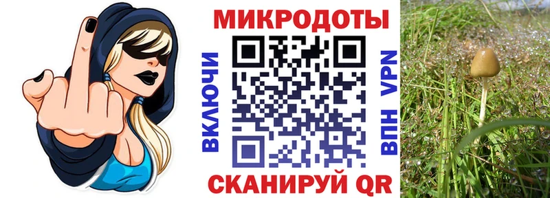 Галлюциногенные грибы ЛСД  Улан-Удэ 